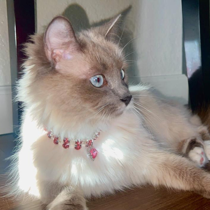 Pet Necklace 2 Strand Magnetic Crystal Diamond Pink