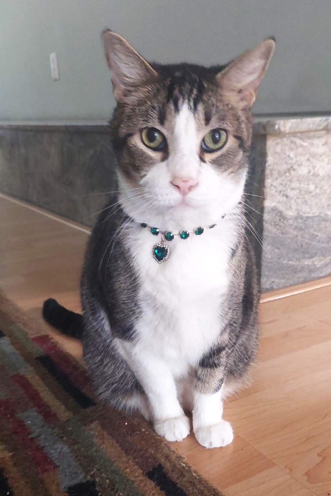 Pet Necklace Emerald