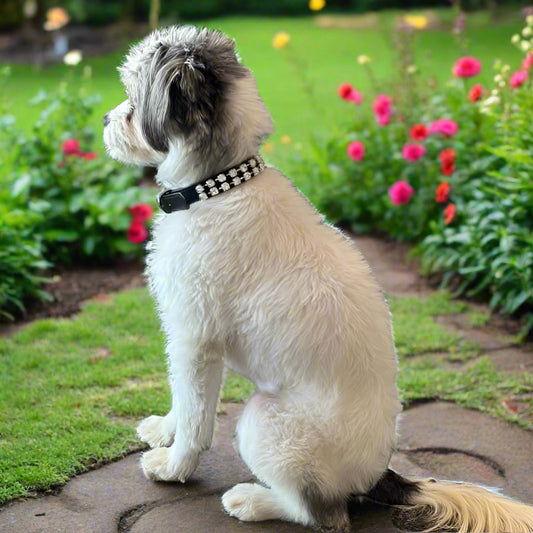 Dog Collar Small 7" to 11" - Black Leatherette Diamond Collar